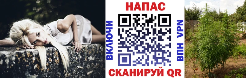 Наркошоп купить Гашиш  Псилоцибиновые грибы  Мефедрон  Марихуана  Амфетамин  Галич